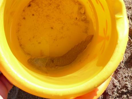P1050713