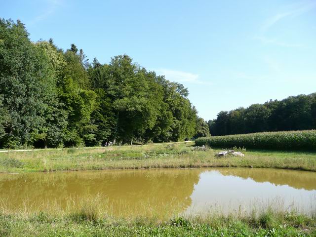 P1100860