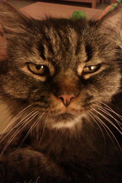 ../previews/026-2013-0028.jpg.medium.jpeg