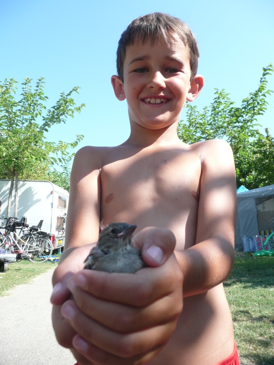 ../previews/044-2013-0047.jpg.medium.jpeg