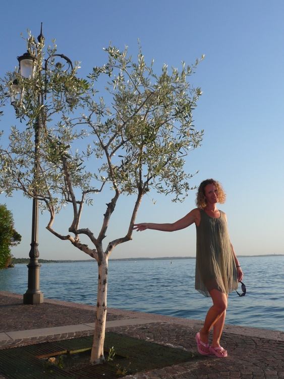 ../previews/072-2013-0076.jpg.medium.jpeg