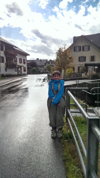 ../previews/087-2013-0092.jpg.medium.jpeg