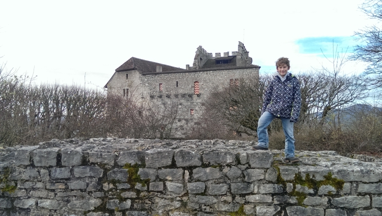 ../previews/094-2013-0100.jpg.medium.jpeg