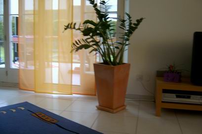 SV400060.JPG